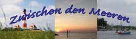 ZdM - Banner